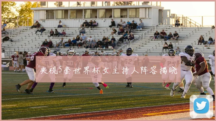 央视5套世界杯女主持人阵容揭晓