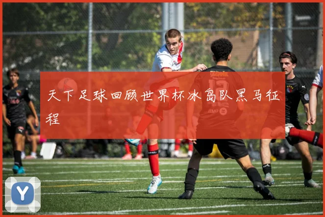 天下足球回顾世界杯冰岛队黑马征程