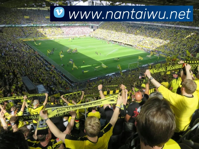 多媒体互动体验